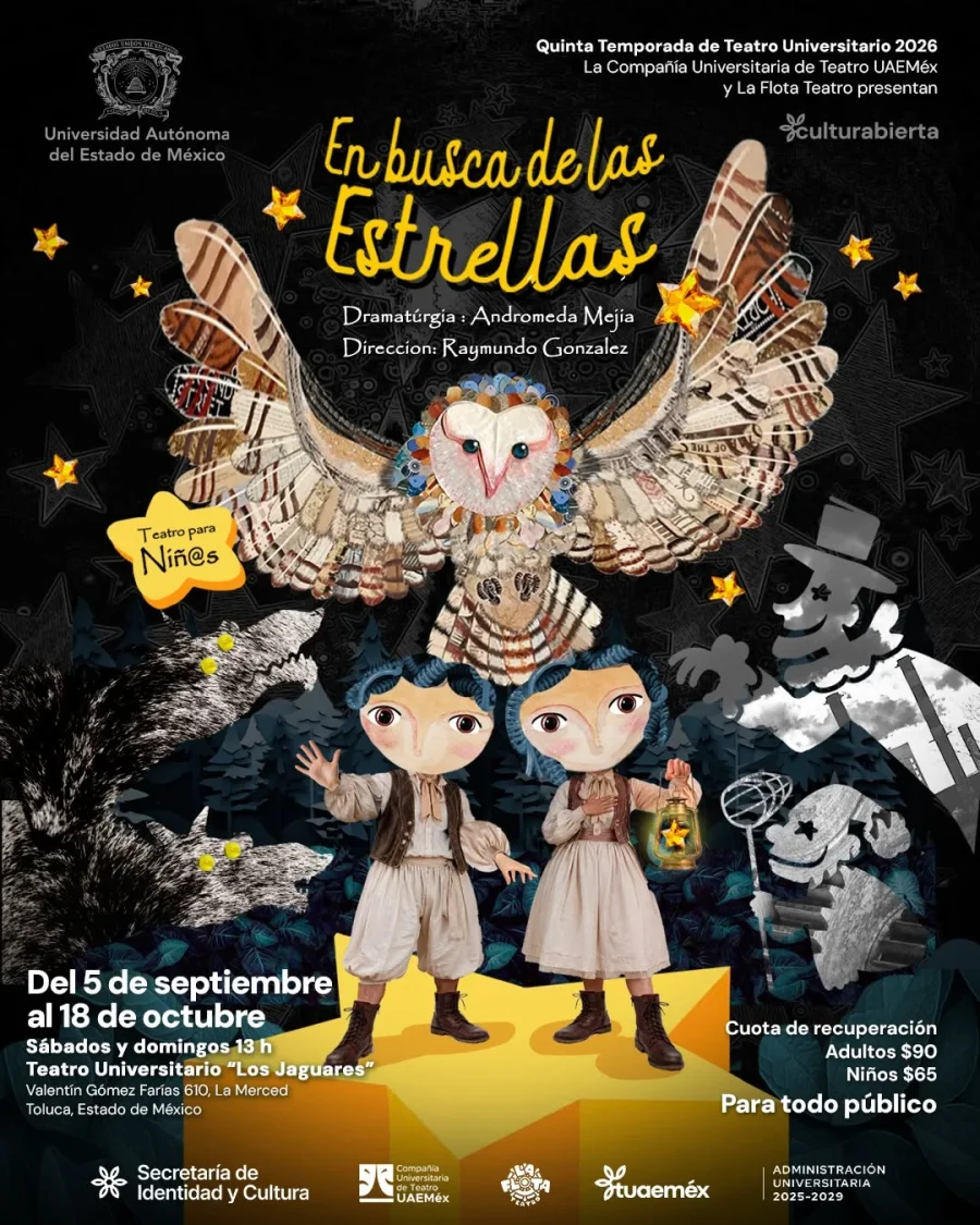 Cartel de En busca de las estrellas
